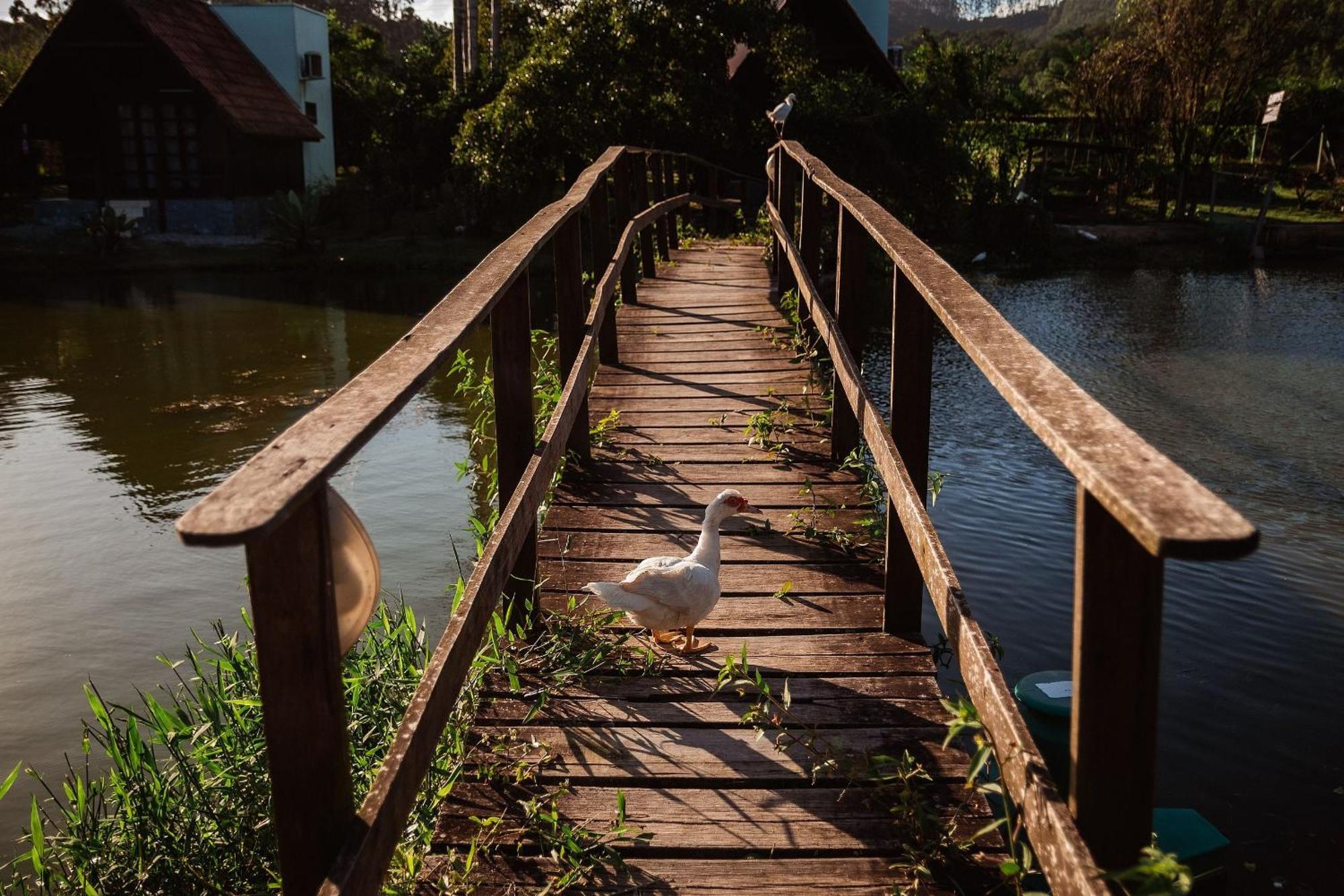 Pousada Sestrem - Sao Joao Batista - Sc Exteriör bild